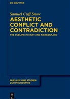 Samuel Cuff Snow - Aesthetic Conflict and Contradiction