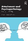 Manuel Hernández Pacheco - Attachment and Psychopathology