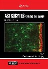 Eliana (Albert Einstein College of Medicin Scemes, Scemes Eliana, Spray David C. - Astrocytes