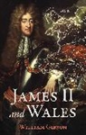 William Gibson - James II and Wales