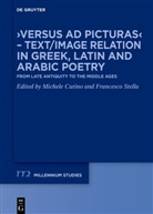 Michele Cutino, Stella, Francesco Stella - 'Versus ad picturas' - Text/Image relation in Greek, Latin and Arabic poetry