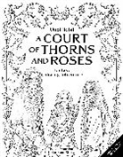 Erin Kwong - Unofficial: A Court of Thorns and Roses Fantasy Coloring Adventure