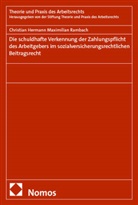 Christian Hermann Maximilian Rambach - Die schuldhafte Verkennung der Zahlungspflicht des Arbeitgebers im sozialversicherungsrechtlichen Beitragsrecht