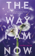 Amber Smith - The way I am now