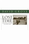 David Gross - Lost Time