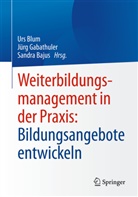 Sandra Bajus, Jürg Gabathuler, Sandra Bajus, Urs Blum, Jürg Gabathuler - Weiterbildungsmanagement in der Praxis: Bildungsangebote entwickeln