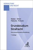 Susanne Dittert, Waltraud Nolden, Waltraud (Dr.) Nolden, Palkovits, Frank Palkovits, Frank Pichocki - Grundstudium Strafrecht