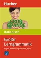 Iolanda Da Forno, Chiara de Manzini Himmrich - Große Lerngrammatik Italienisch