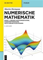 Peter Deuflhard, Martin Hermann, Martin Hermann - Numerische Mathematik - Vol 1: Numerische Mathematik