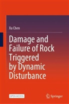 Xu Chen - Damage and Failure of Rock Triggered by Dynamic Disturbance