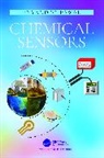 Dnyandeo Karbhari Pawar - Chemical Sensors