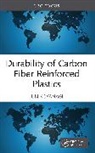 Jun Koyanagi - Durability of Carbon Fiber Reinforced Plastics
