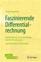 Sergei Kovalenko - Faszinierende Differentialrechnung