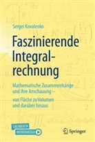Sergei Kovalenko - Faszinierende Integralrechnung