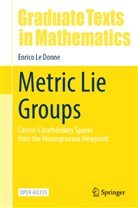 Enrico Le Donne - Metric Lie Groups