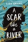 Lisa Graff - A Scar Like a River