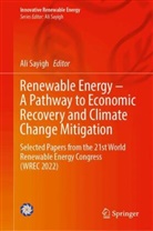 Ali Sayigh - Renewable Energy - A Pathway to Economic Recovery and Climate Change Mitigation