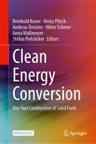 Andreas Dreizler, Andreas Dreizler et al, Reinhold Kneer, Anna Maßmeyer, Stefan Pielsticker, Heinz Pitsch... - Clean Energy Conversion