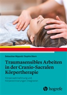 Sebastian Nippold, Sophie Stern - Traumasensibles Arbeiten in der Cranio-Sacralen Körpertherapie