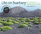 Loree Griffin Burns - Life on Surtsey
