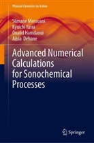 Aissa Dehane, Oualid Hamdaoui, Slimane Merouani, Kyuichi Yasui - Advanced Numerical Calculations for Sonochemical Processes