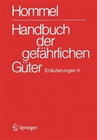 Holzhäuser, Jörg Holzhäuser, Petra Holzhäuser - Handbuch der gefährlichen Güter. Erläuterungen II
