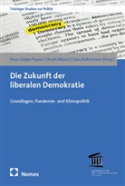 Gero Kellermann, Ursula Münch, Hans-Jürgen Papier - Die Zukunft der liberalen Demokratie