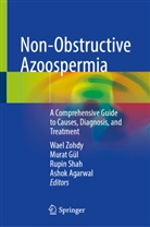 Ashok Agarwal, Murat Gül, Rupin Shah, Rupin Shah et al, Wael Zohdy - Non-Obstructive Azoospermia