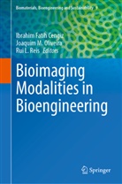 Ibrahim Fatih Cengiz, Rui L Reis, Joaquim M Oliveira, Joaquim M. Oliveira, Rui L. Reis - Bioimaging Modalities in Bioengineering