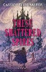 Cassidy Ellis Salter - These Shattered Spires