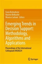 Fazia Bedouhene, Hacène Belbachir, Moussa Larbani - Emerging Trends in Decision Support: Methodology, Algorithms and Applications