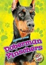 Christina Leighton - Doberman Pinschers