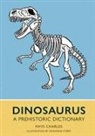 Rhys Charles - Dinosaurus