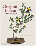 Benjamin John Coleman, Coleman Benjamin John - Origami Bonsai