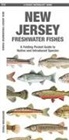 Matthew Morris - New Jersey Freshwater Fishes