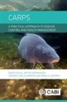 Dr Mikolaj Adamek, Mikolaj Adamek, David Hoole, Professor David (Professor Emeritus of Fish Diseases) Hoole, Dr Verena Jung-Schroers, Verena Jung-Schroers... - Carps