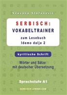 Snezana Stefanovic - Serbisch: Vokabeltrainer zum Lesebuch "Idemo dalje 2" - kyrillische Schrift