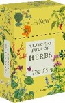 Farrell Holly - A Kitchen Full of Herbs