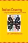 Gail Guthrie Valaskakis - Indian Country