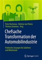 Peter Buchenau, Thomas Grommes, Dietmar von Polenz, Dietmar von Polenz - Chefsache Transformation der Automobilindustrie