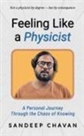 Sandeep Chavan - Feeling Like a Physicist