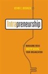 Kevin C Desouza, Kevin C. Desouza - Intrapreneurship