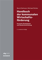 Bernd Dallmann, Michael Richter - Handbuch der kommunalen Wirtschaftsförderung