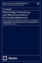 Sarah Brugger - Nachhaltige Entwicklung und Menschenrechte in EU-Handelsabkommen