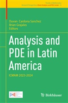 Duvan Cardona Sanchez, Grajales, Brian Grajales - Analysis and PDE in Latin America