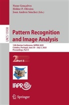 Joan Andreu Sánchez, Nuno Gonçalves, Hélder P. Oliveira, Hélder P Oliveira, Joan Andreu Sánchez - Pattern Recognition and Image Analysis