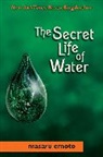 Masaru Emoto - Secret Life of Water: Volume 6