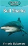 Victoria Blakemore - Bull Sharks