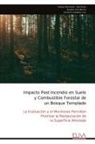 Rodrigo Hernández - Hernández - Impacto Post Incendio en Suelo y Combustible Forestal de un Bosque Templado