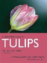 Grete Smith, Smith Matthew - Tulips